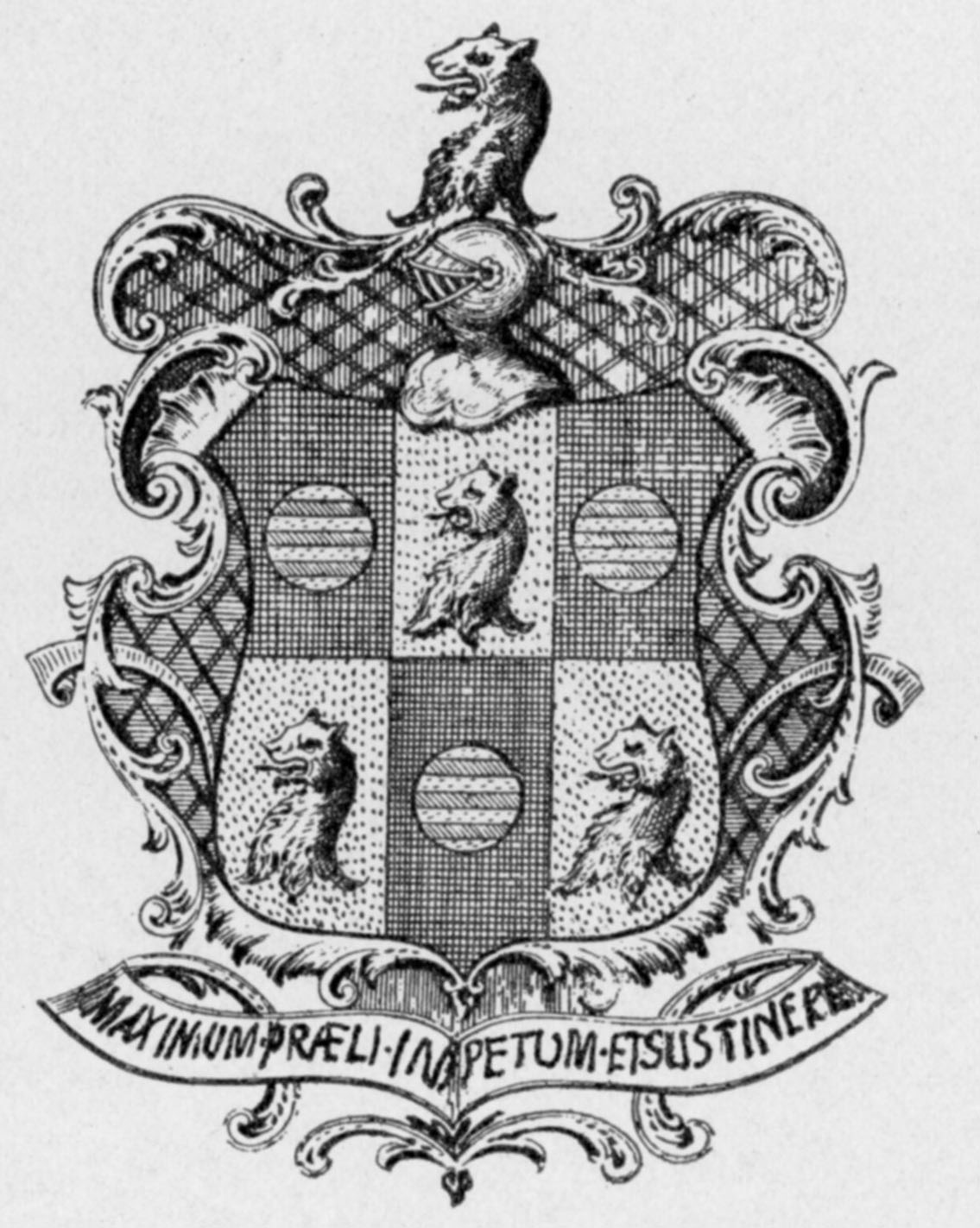 click to enlarge White family blazon.