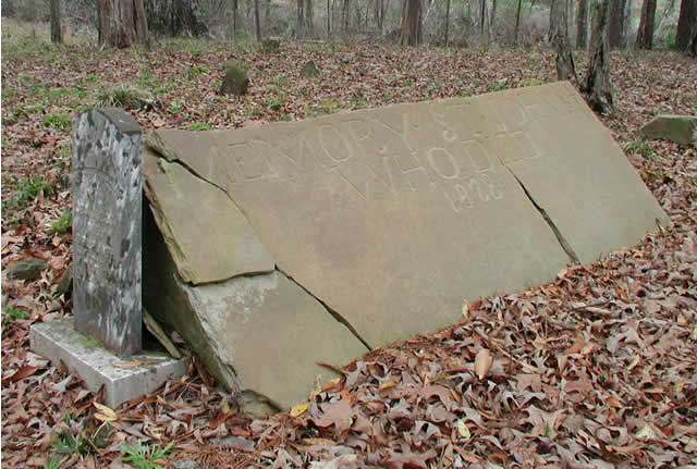 click for larger image